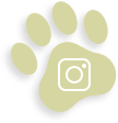 Dog Salon LACQ インスタグラム